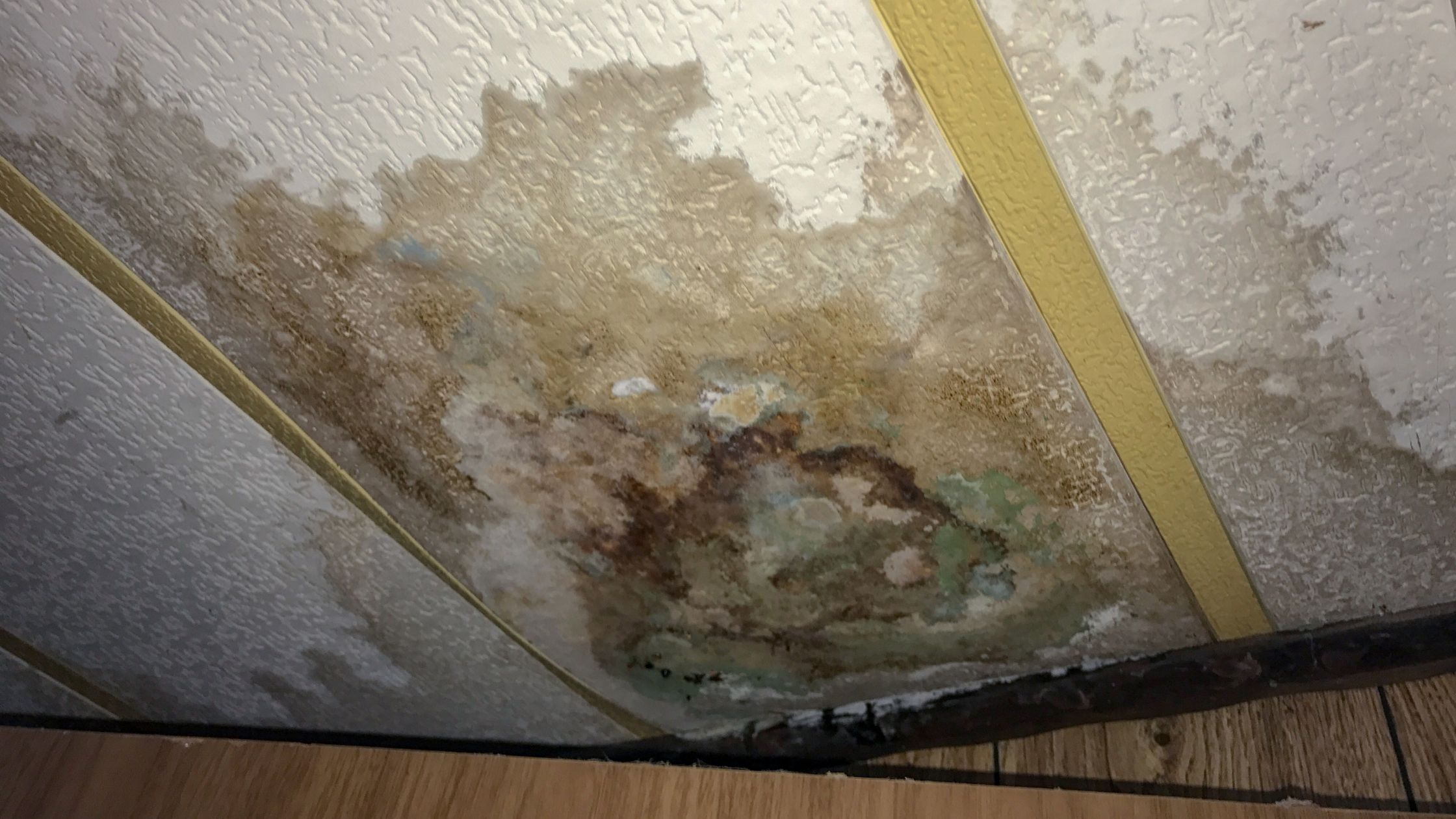 Damaged roof shingles in Katy, TX needing urgent repair