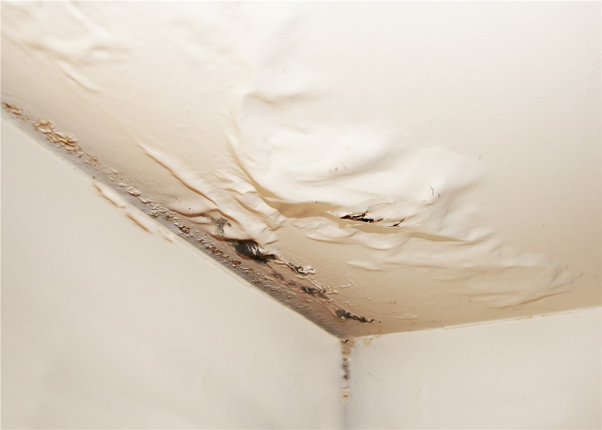Early detection of roof leaks and weak spots during professional roofing inspection in Katy, Texas