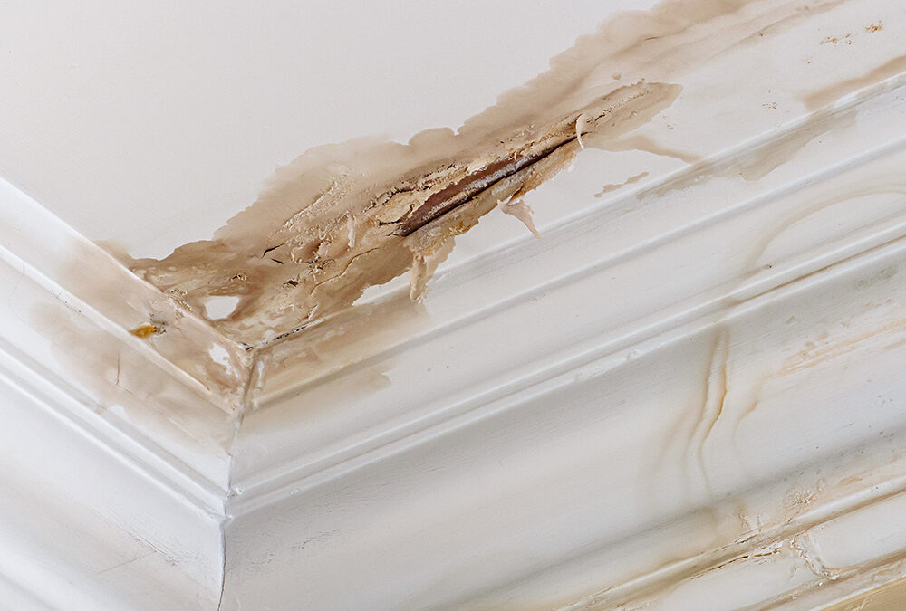 Leaking and sagging roof emergency in Katy, TX home