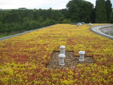 TPO Green Roof System installed in Katy Texas